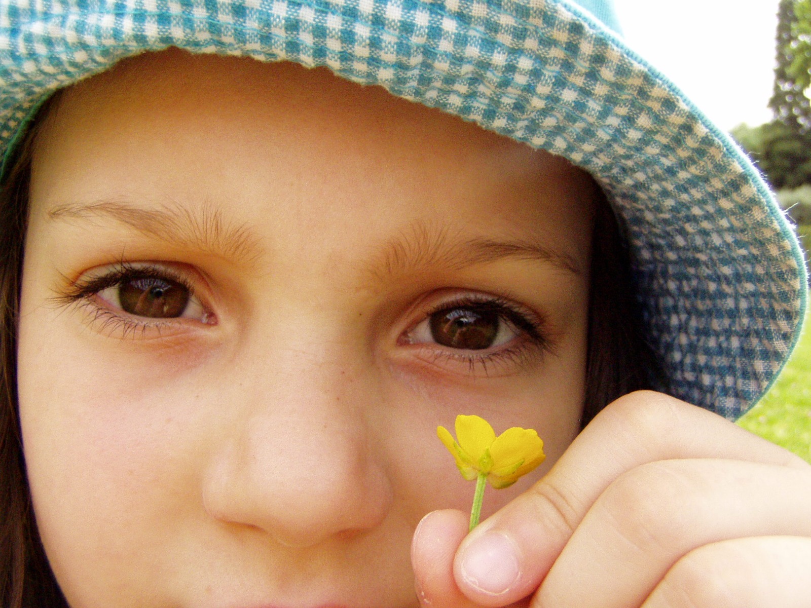 Assimilation d'un traitement homéopathique
